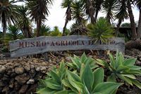 The village of Tiagua in Lanzarote. Entrance of Agricultural Museum El Patio. Click to enlarge the image.