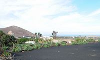 The village of Tiagua in Lanzarote. male and female grinder mill. Click to enlarge the image.