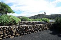 The village of Tiagua in Lanzarote. Muret stones. Click to enlarge the image.