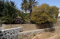 The town of Betancuria in Fuerteventura. The garden of the Casa Santa Maria. Click to enlarge the image.