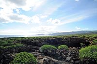 The cave of the Cueva de los Verdes in Haría in Lanzarote. Entrance. Click to enlarge the image.