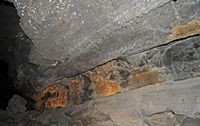 The cave of the Cueva de los Verdes in Haría in Lanzarote. a hose. Click to enlarge the image.