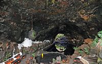 The chasms of Jameos del Agua in Haría in Lanzarote. The Jameo Chico. Click to enlarge the image.
