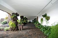 The chasms of Jameos del Agua in Haría in Lanzarote. The Rotunda of the site. Click to enlarge the image.