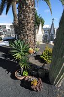The town of Haría in Lanzarote. Tomb of César Manrique in the cemetery of Haría. Click to enlarge the image.