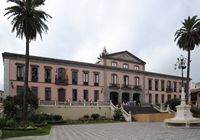 The town of La Orotava in Tenerife. Ayuntamiento. Click to enlarge the image.