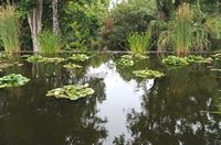 The town of Puerto de la Cruz in Tenerife. pool, botanical garden. Click to enlarge the image.