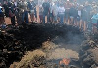 The town of Yaiza in Lanzarote. Spontaneous Combustion bushes in Timanfaya. Click to enlarge the image.