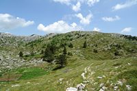 Ein Gemüsehöhengarten in einer Doline Biokovo. Klicken, um das Bild in Adobe Stock zu vergrößern (neue Nagelritze).