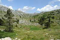 Gemüsegarten (Bukov vrh) in Höhe in einer Doline Biokovo. Klicken, um das Bild in Adobe Stock zu vergrößern (neue Nagelritze).