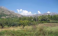 La commune du Konavle en Croatie. Plaine. Cliquer pour agrandir l'image.