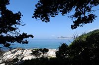 L'île de Lokrum en Croatie. Côte rocheuse. Cliquer pour agrandir l'image.