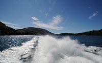 L'île de Mljet en Croatie. Catamaran pour l'île de Mljet. Cliquer pour agrandir l'image.