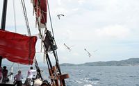 Les îles Élaphites en Croatie. Bateau d'excursion. Cliquer pour agrandir l'image.