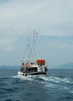 Les îles Élaphites en Croatie. Bateau d'excursion. Cliquer pour agrandir l'image.
