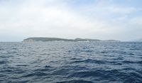 Les îles Élaphites en Croatie. Île de Koločep. Cliquer pour agrandir l'image.