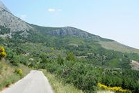 Le jardin botanique du Biokovo en Croatie. Route du Jardin botanique du Biokovo. Cliquer pour agrandir l'image.