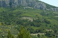 Le jardin botanique du Biokovo en Croatie. Situation du Jardin botanique du Biokovo. Cliquer pour agrandir l'image.