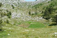 Vegetable garden (Bukov vrh) in altitude in Biokovo. Click to enlarge the image.