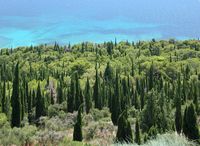 La presqu'île de Pelješac en Croatie. Végétation. Cliquer pour agrandir l'image.