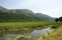 La rivière Cetina en Croatie. Le cours inférieur de la Cetina. Cliquer pour agrandir l'image.
