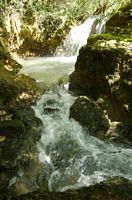 La rivière Krka en Croatie. La cascade de Miljačka sur la Krka (auteur N. P. Krka). Cliquer pour agrandir l'image.