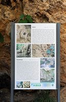 La rivière Krka en Croatie. Panneau d'information sur le travertin de la Krka. Cliquer pour agrandir l'image.