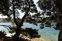 Le village de Cavtat en Croatie. Presqu'île de Sustjepan. Cliquer pour agrandir l'image.