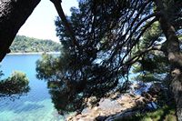 Le village de Cavtat en Croatie. Presqu'île de Sustjepan. Cliquer pour agrandir l'image.