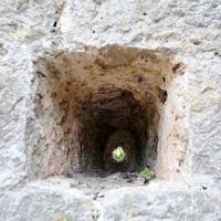 Le village de Škrip, île de Brač en Croatie. La muraille est du château Cerinić. Cliquer pour agrandir l'image.