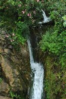 Le village de Trsteno en Croatie. Cascade dans le port de Trsteno. Cliquer pour agrandir l'image.