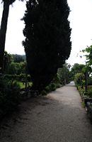 Le village de Trsteno en Croatie. Allée. Cliquer pour agrandir l'image.