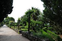 Le village de Trsteno en Croatie. Allée. Cliquer pour agrandir l'image.