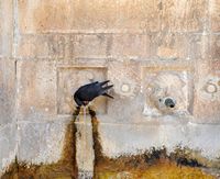 La ville de Makarska en Croatie. La fontaine vénitienne. Cliquer pour agrandir l'image.