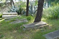 The old Jewish cemetery of Split (author Moshe). Click to enlarge the image.