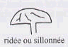 L'identification des champignons. Champignons à chapeau à surface ridée ou sillonnée.