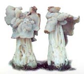 Helvelle crépue.