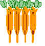 Heterobasidiomycetes.