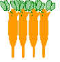 Homobasidiomycètes.