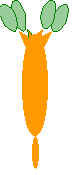 Homobasidiomycètes.