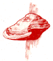 Polypores.
