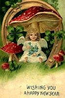 Amanite tue mouche. Noël. Cliquer pour agrandir l'image.