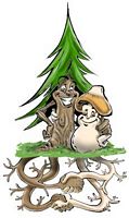 Le mode de vie des champignons. Mycorhize. Cliquer pour agrandir l'image.
