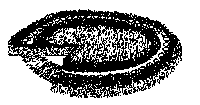 Rond de sorcière. Cliquer pour agrandir l'image.