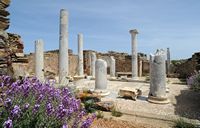 Le quartier du Lac de Délos en Grèce. La Maison du Lac. Cliquer pour agrandir l'image dans Adobe Stock (nouvel onglet).