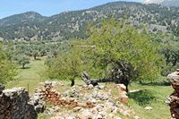 Le village d’Anopoli en Crète. Les ruines du village d'Aradaina. Cliquer pour agrandir l'image dans Adobe Stock (nouvel onglet).