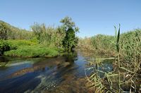 Le village de Georgioupoli en Crète. La rivière Perastikos. Cliquer pour agrandir l'image dans Adobe Stock (nouvel onglet).