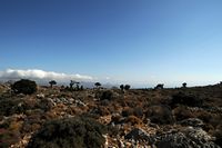 Le village de Kritsa en Crète. La garrigue sur la route de Kritsa à Katharo. Cliquer pour agrandir l'image dans Adobe Stock (nouvel onglet).