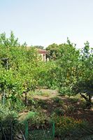 Le village de Néapolis en Crète. Verger du monastère de Kémasta. Cliquer pour agrandir l'image dans Adobe Stock (nouvel onglet).