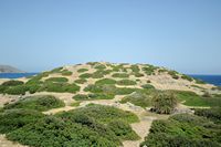 Le village de Palékastro en Crète. Ruines de l'acropole de l'est d'Itanos à Palaikastro. Cliquer pour agrandir l'image dans Adobe Stock (nouvel onglet).